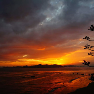 欧美大片黄片之舔吸阴道狂
